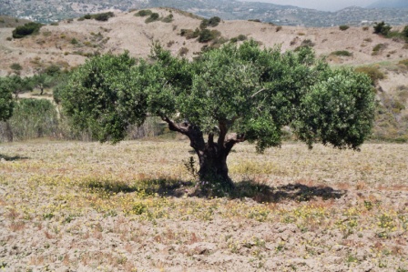 Landschaftsfoto